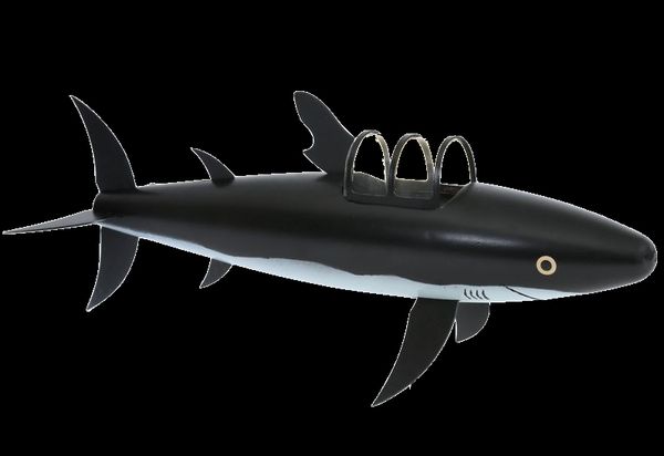 Requin — pièce d'exposition